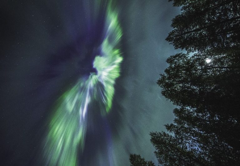 Jani Ylinampa IMG 2542 1504832761 lg e1543676220604