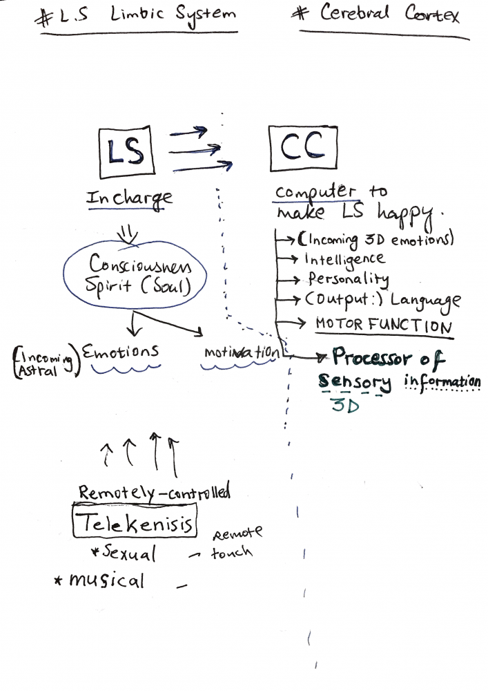 CerebralCortexScannable Document  on Jul   at