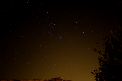 AgileCostlyKitten size restricted